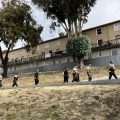 S.F. Housing Authority moves to replace troubled firm managing public housing