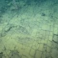 Scientists Found a ‘Yellow Brick Road’ at The Bottom of The Pacific Ocean