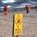 Mysterious black balls that washed up on Sydney beach were foul-smelling mini ‘fatbergs’