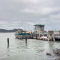 Maire Farrington has been solo camping on Angel Island for 31 years